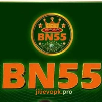 BN55 Game